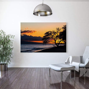 campello vision Photography Tree over sunset