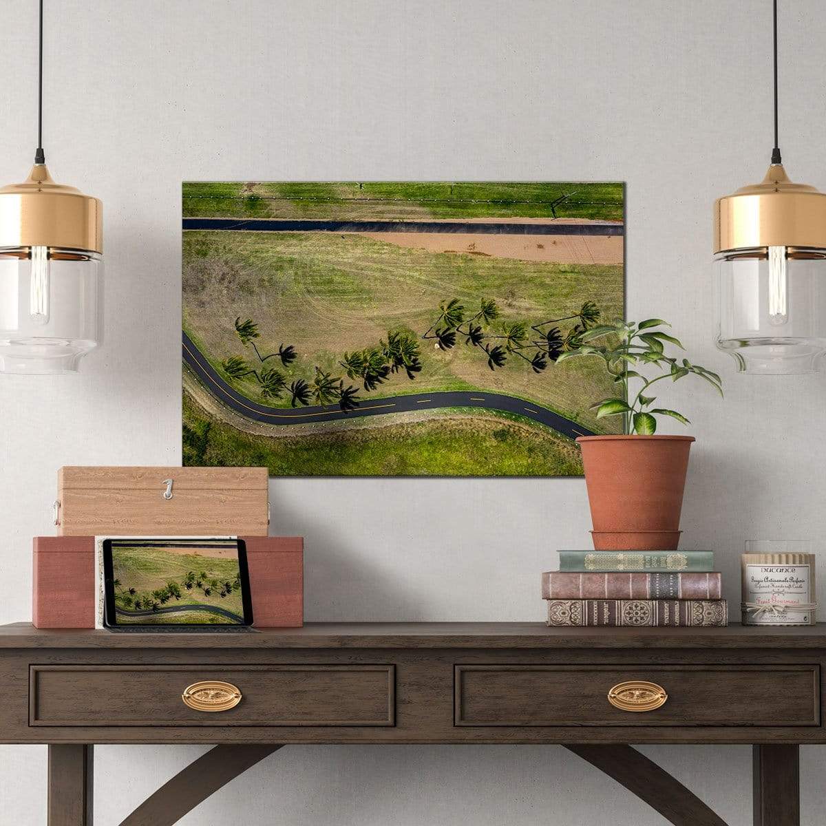 campello vision Photography Palm trees + road