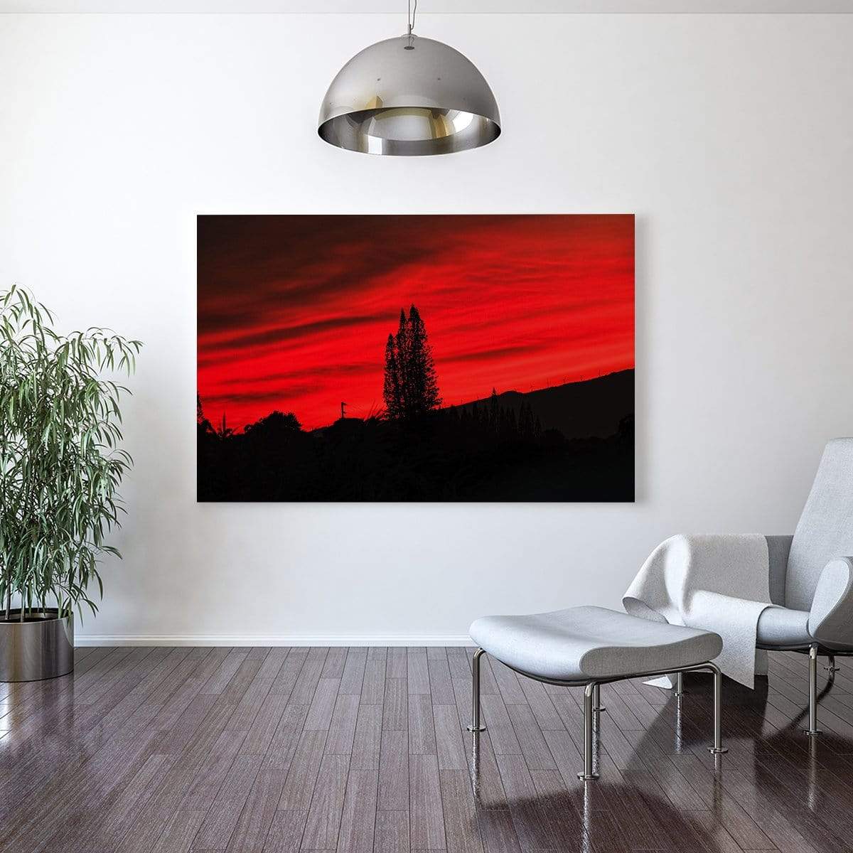 campello vision Photography Pino Pink Sunset