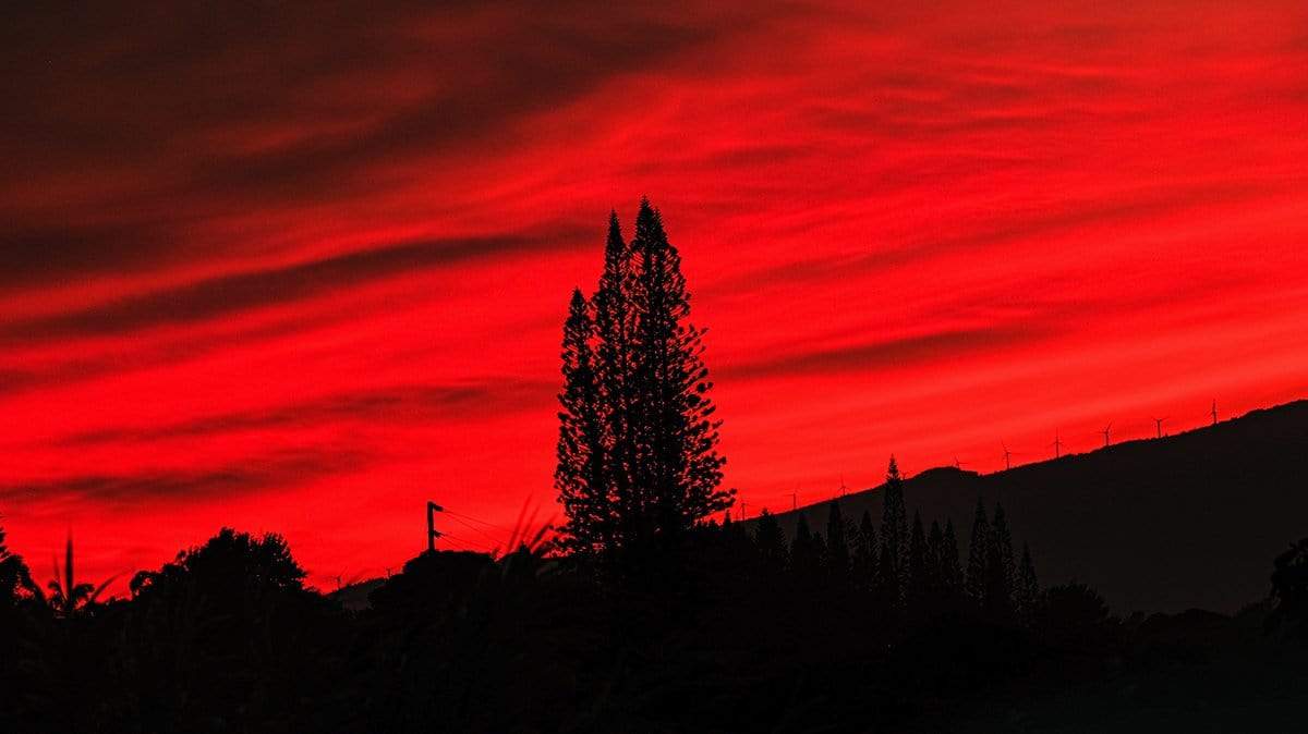 campello vision Photography Pino Pink Sunset