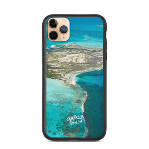 campellovision.com iPhone 11 Pro Max Channel Orchila Biodegradable Campello Vision phone case