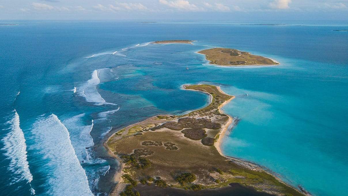 campellovision.com wallpaper Noronkises