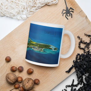 campellovision.com 11oz White glossy mug